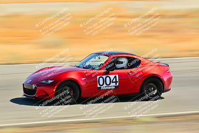 media/Oct-05-2024-Extreme Speed (Sat) [[dcd4a721fe]]/Low Inter/Session 2 (Turns 4 5 and 6)/